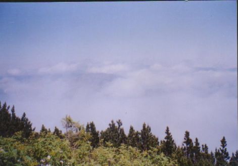 swscan00046.jpg